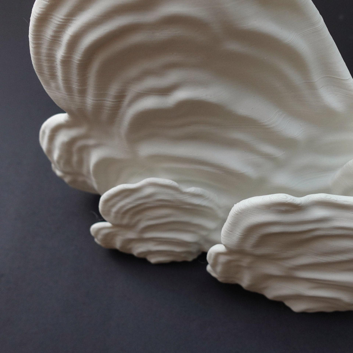 Gazzaladra Unique Wall shelf Interior Decor “Ostrea Fungus” for Party, Living Room, Bedroom - LV3DPrinting