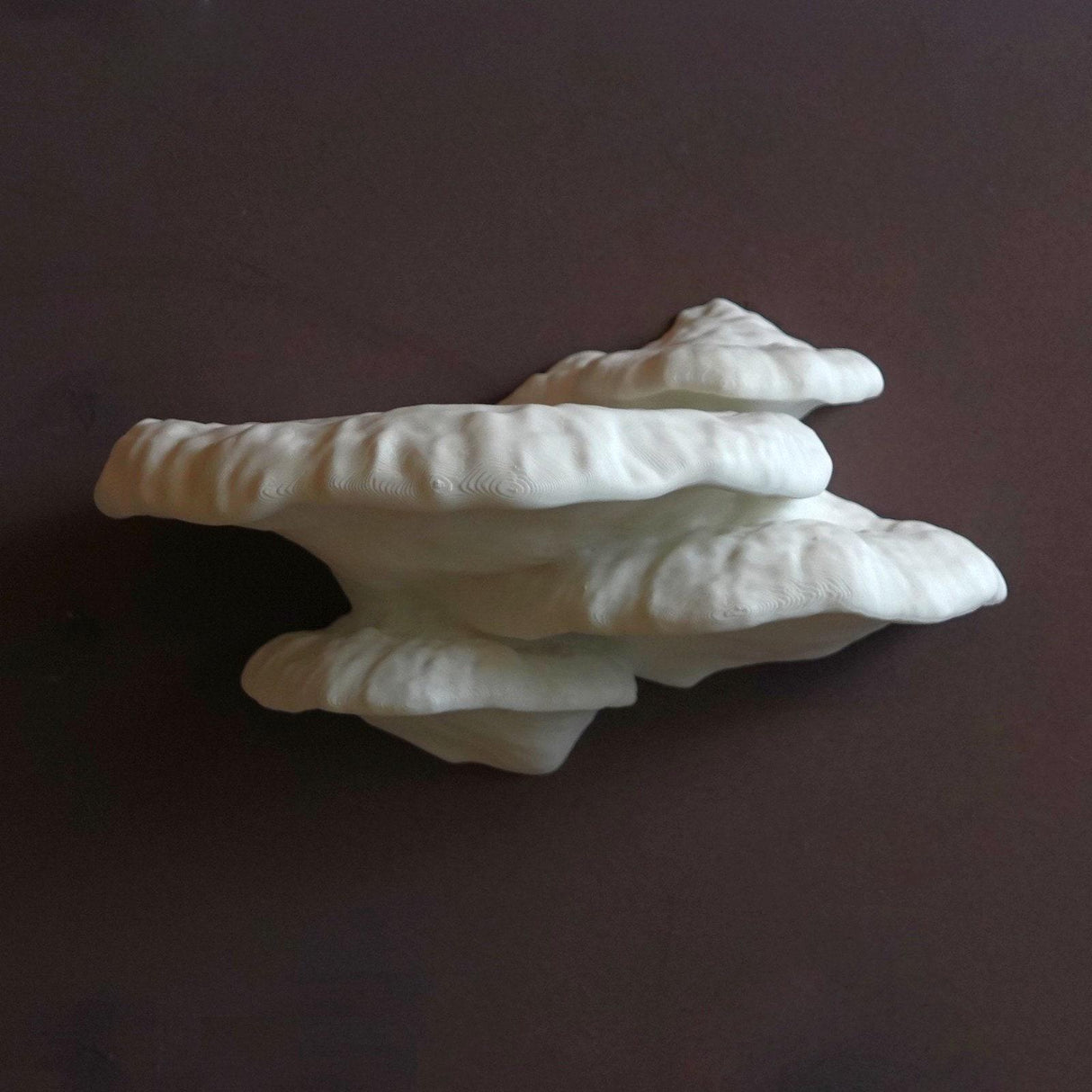 Gazzaladra Unique Wall Shelf Pinicula for Party, Living Room, Bedroom - LV3DPrinting