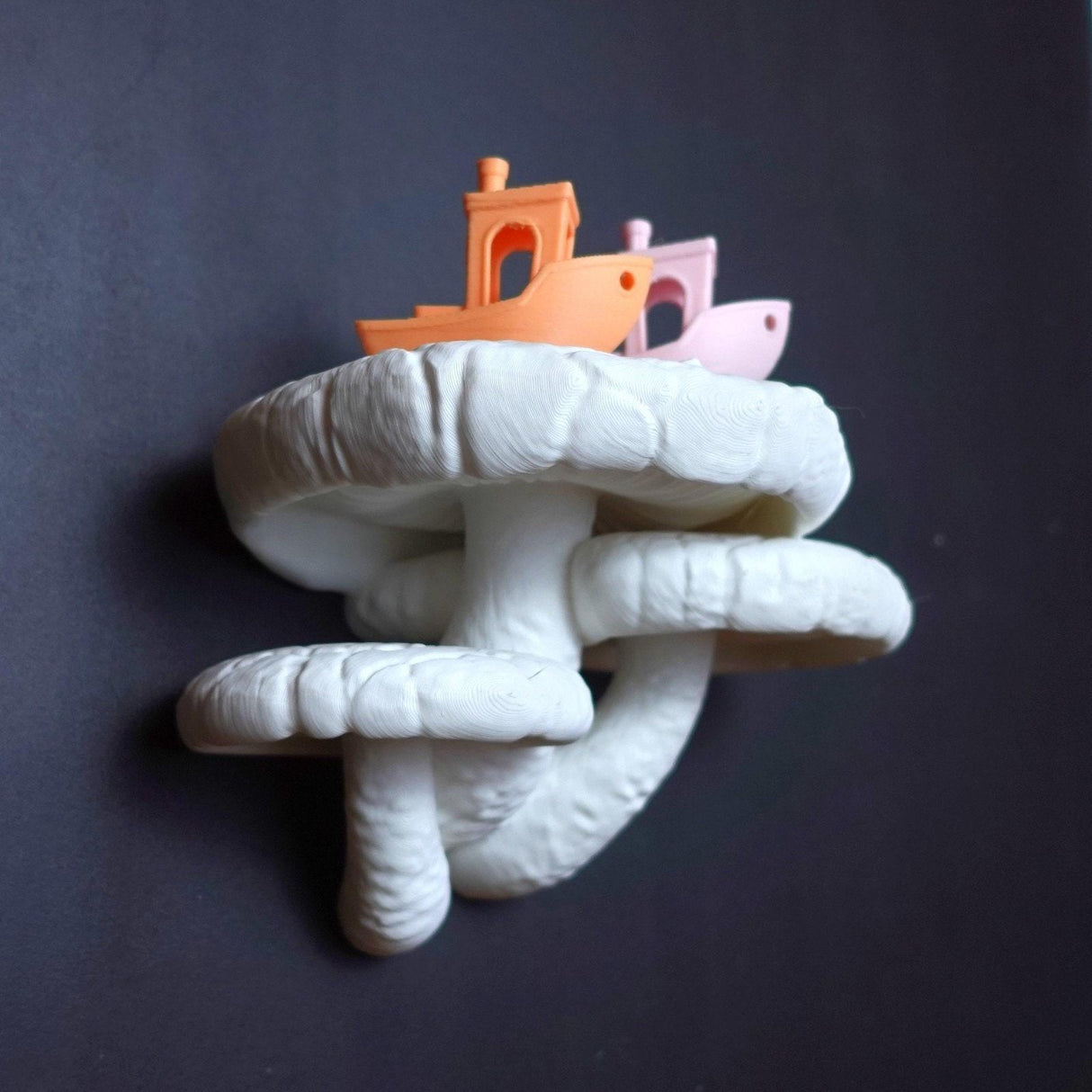 Gazzaladra Wall Shelf Edodes Fungus for Party, Living Room, Bedroom - LV3DPrinting