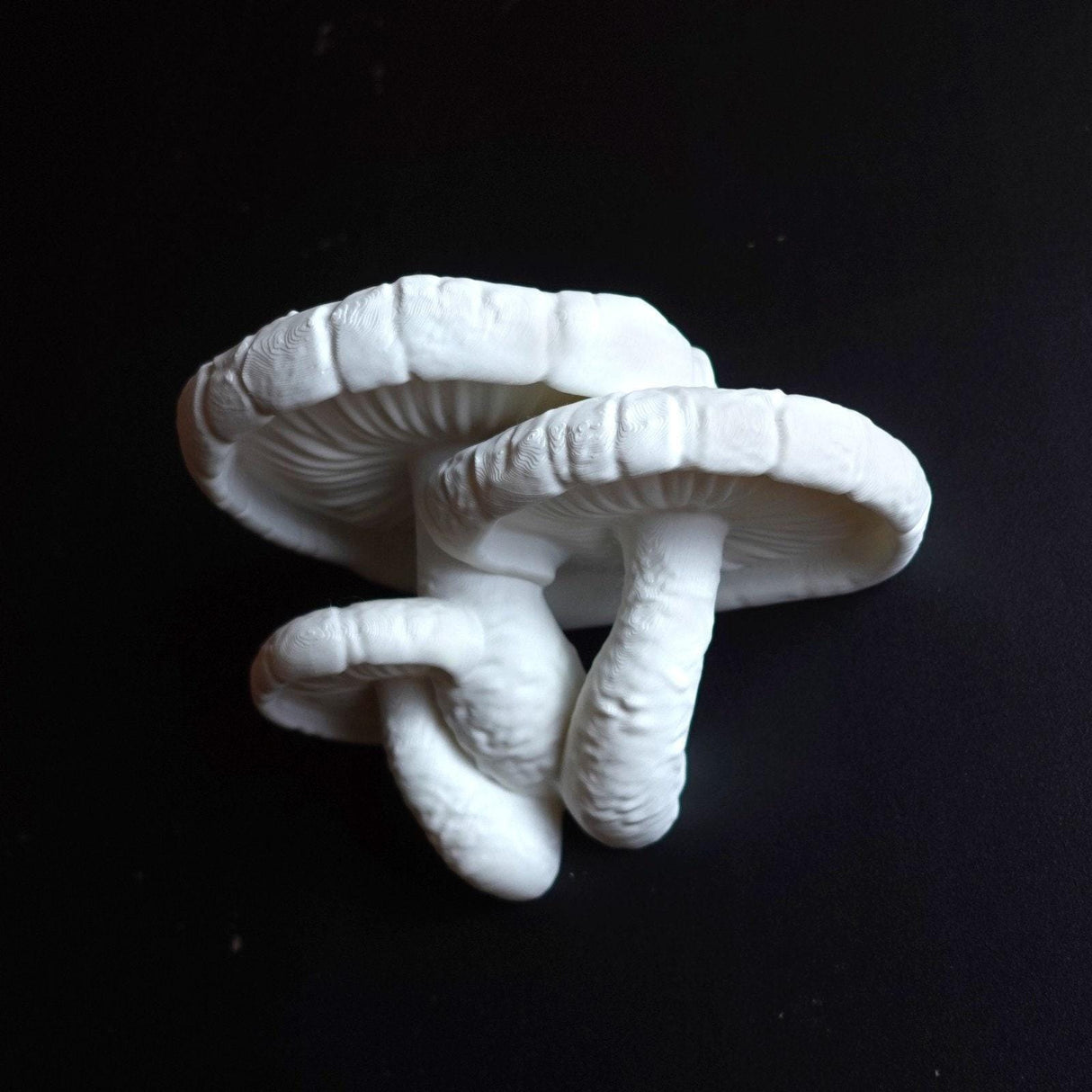 Gazzaladra Wall Shelf Edodes Fungus for Party, Living Room, Bedroom - LV3DPrinting
