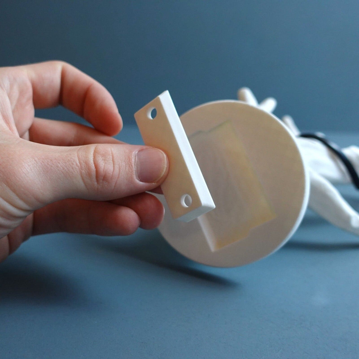 Gazzaladra Rouber Tree Wall Lamp | Bedroom Lighting | Home Decor | Gift Idea - LV3DPrinting