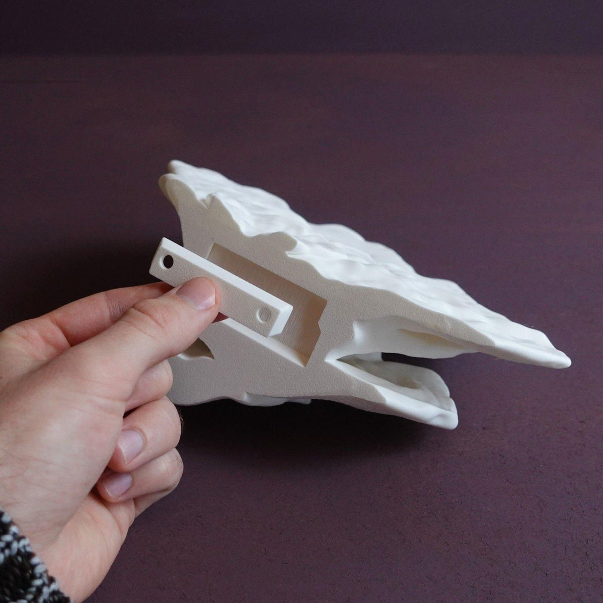 Gazzaladra Wall Shelf Gibbosa Fungus for Party, Living Room, Bedroom - LV3DPrinting