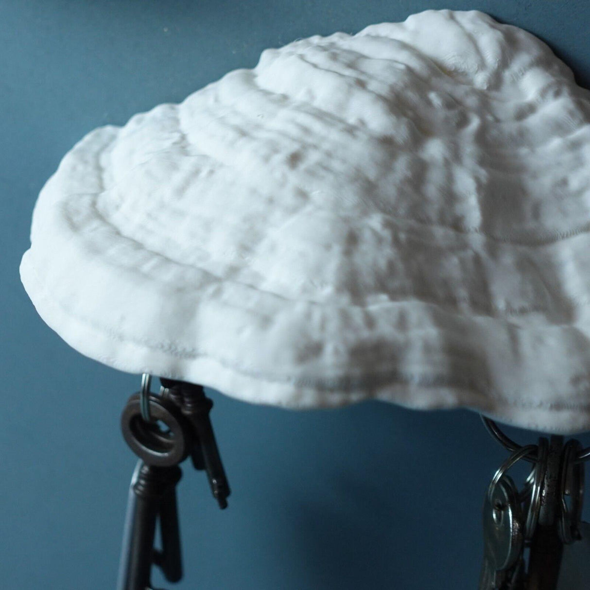 Gazzaladra Carnosum Fungus Magnetic Key Holder for Party, Living Room, Bedroom - LV3DPrinting