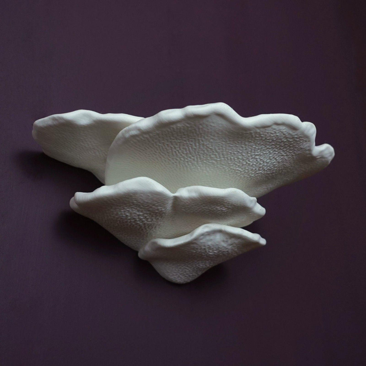 Gazzaladra Wall Shelf Gibbosa Fungus for Party, Living Room, Bedroom - LV3DPrinting