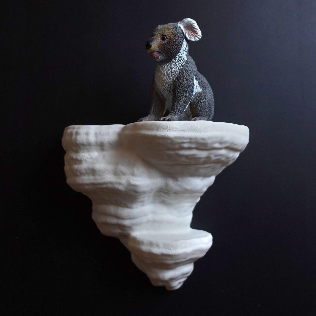 Gazzaladra Unique Wall shelf Interior Decor Fomentarius Fungus for Party, Living Room, Bedroom - LV3DPrinting