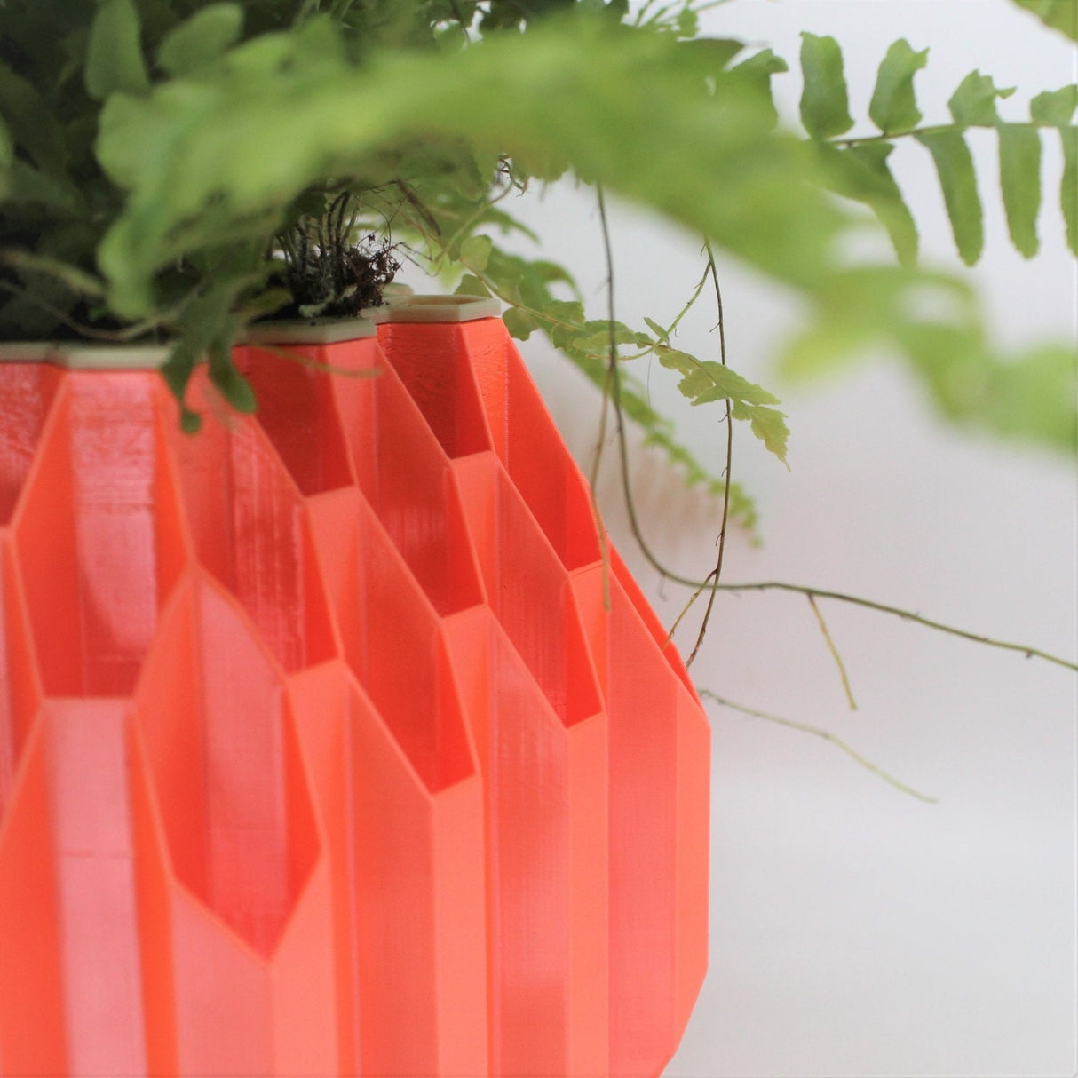 3DPPA Hegaxon Overload Self-Watering Planter /Planter Decor for Dinner Table, Party, Living Room, Bedroom - LV3DPrinting