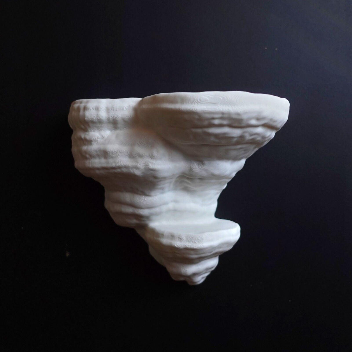 Gazzaladra Unique Wall shelf Interior Decor Fomentarius Fungus for Party, Living Room, Bedroom - LV3DPrinting