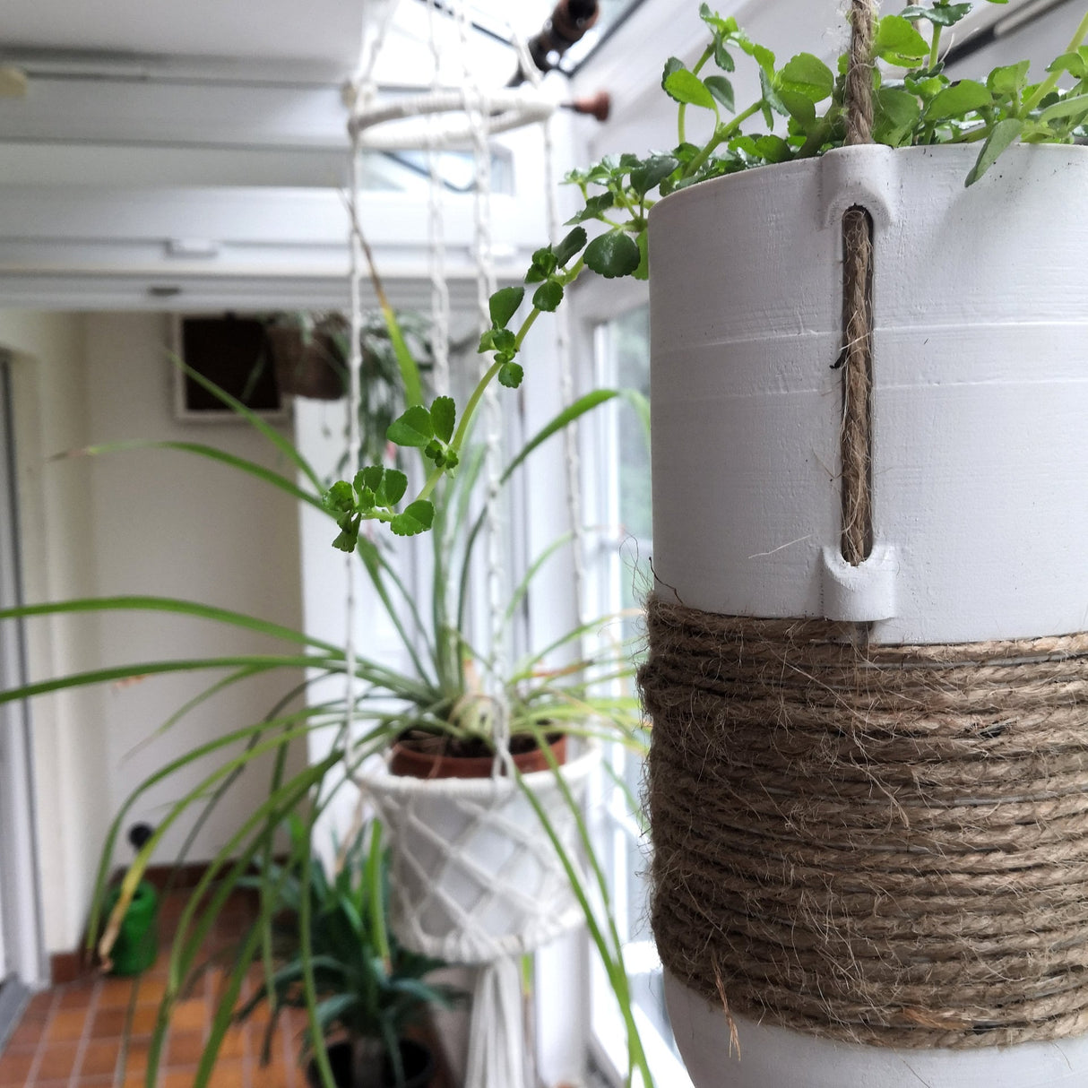 Gazzaladra Modern Wall Hanging Garden & Indoor Planter For Propagating Plant Cuttings In Water, Wall Hanging Plant Wall Decor, Home Decor - LV3DPrinting