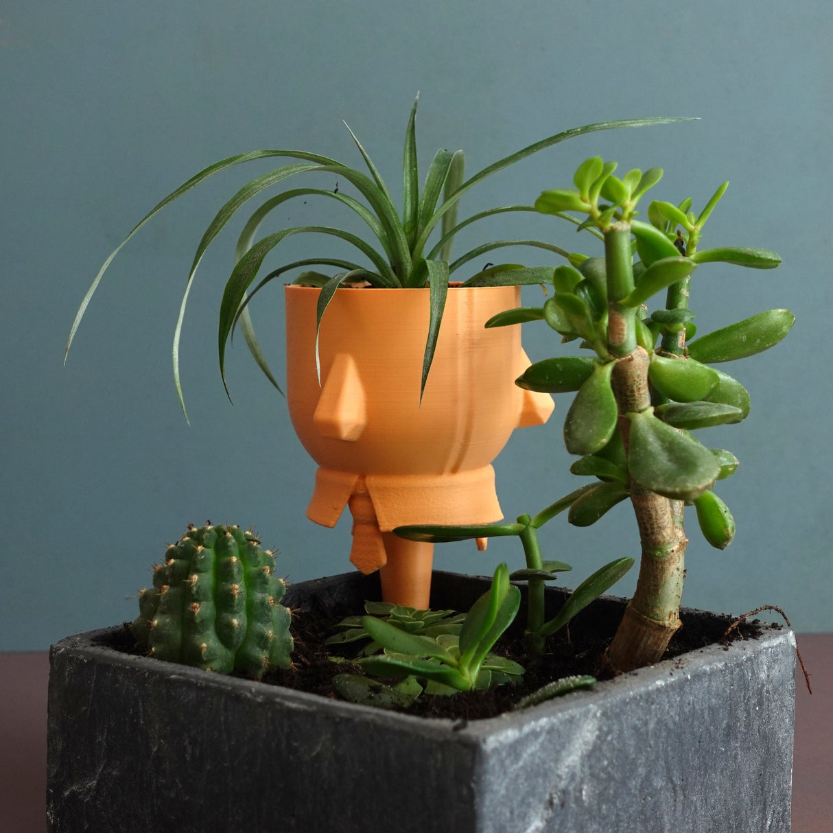 Gazzaladra Elevated Pot & Garden Planter Decor for Dinner Table, Party, Living Room, Bedroom - LV3DPrinting