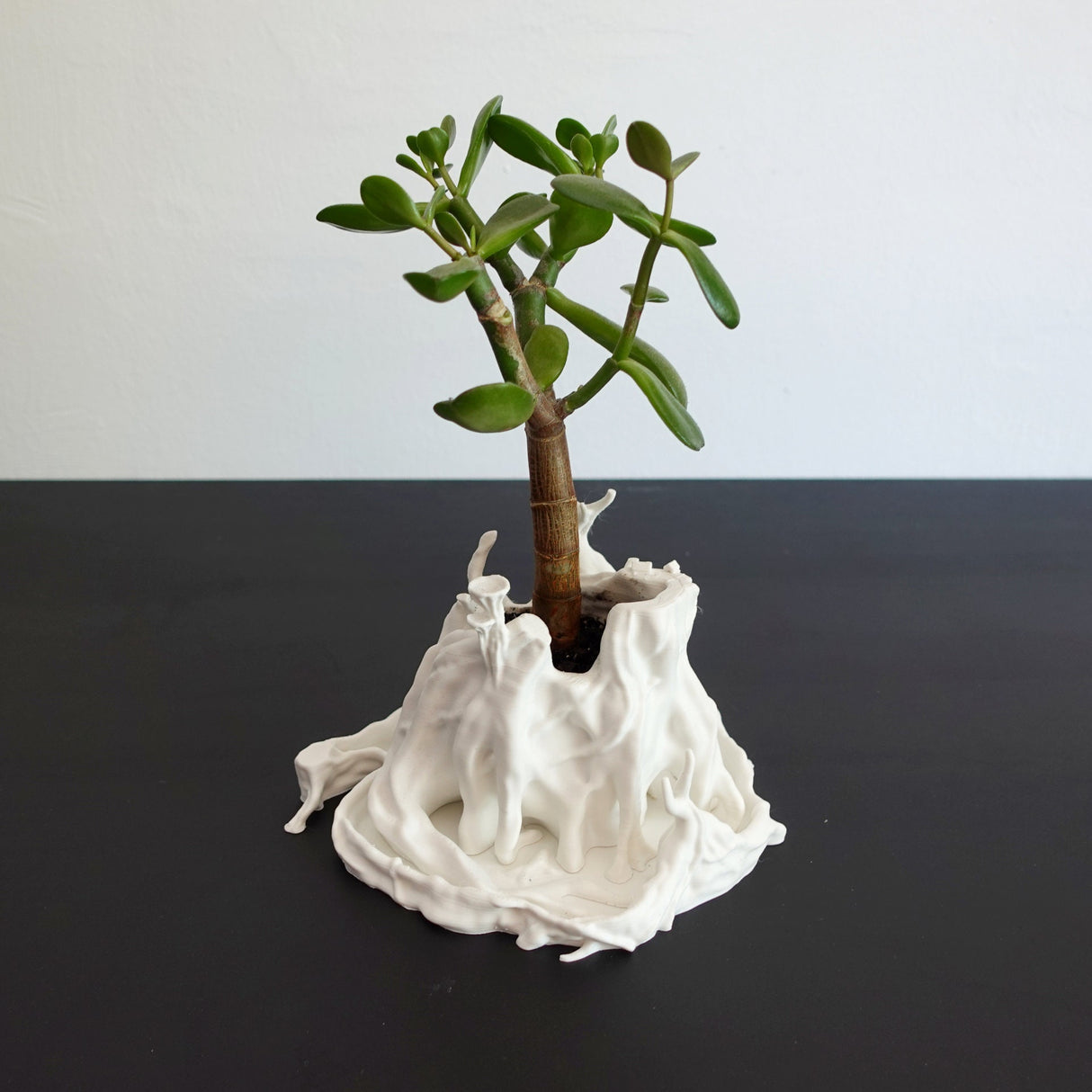 Gazzaladra Tree Trunk Indoor Planter Decor for Dinner Table, Party, Living Room, Bedroom - LV3DPrinting