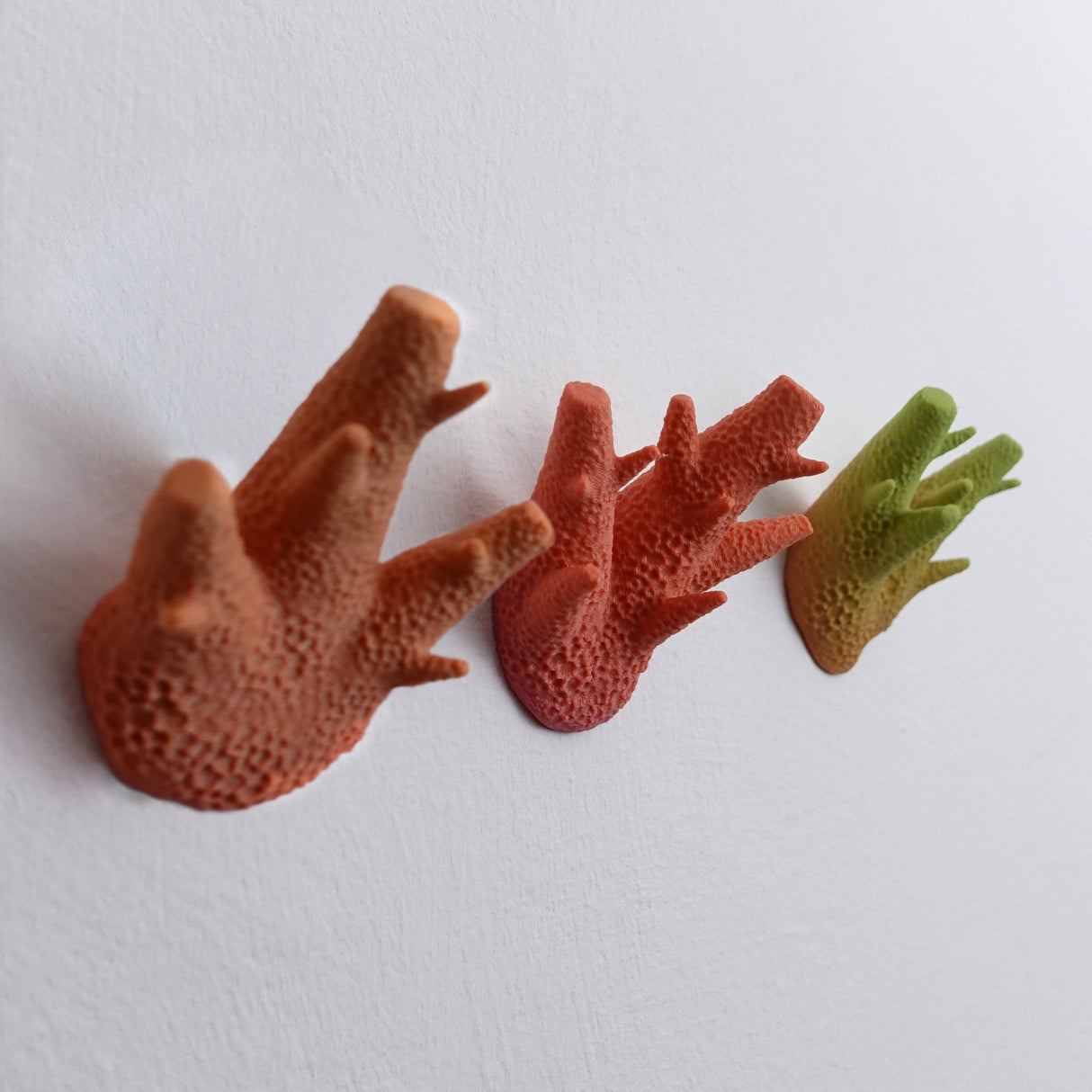 Set of three - Gazzaladra Caliendrum Coral Wall Hooks | Coat Hanger |  Wall Hooks | Coat Rack Wall Mount - LV3DPrinting