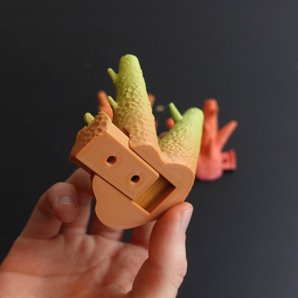 Set of three - Gazzaladra Caliendrum Coral Wall Hooks | Coat Hanger | Wall Hooks | Coat Rack Wall Mount - LV3DPrinting
