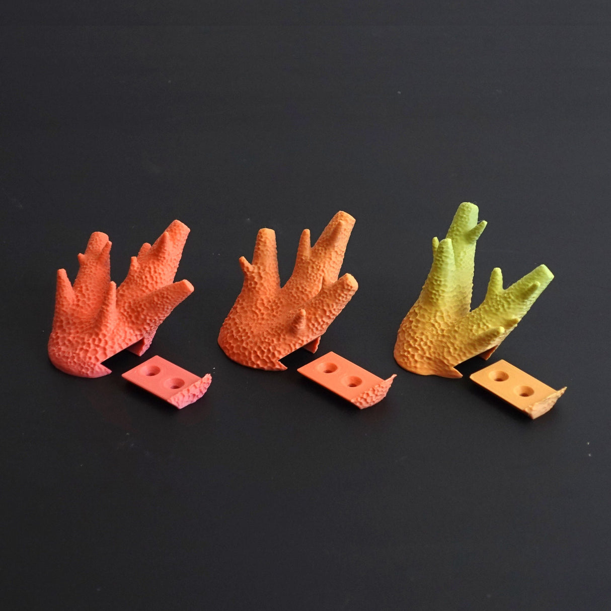 Set of three - Gazzaladra Caliendrum Coral Wall Hooks | Coat Hanger | Wall Hooks | Coat Rack Wall Mount - LV3DPrinting