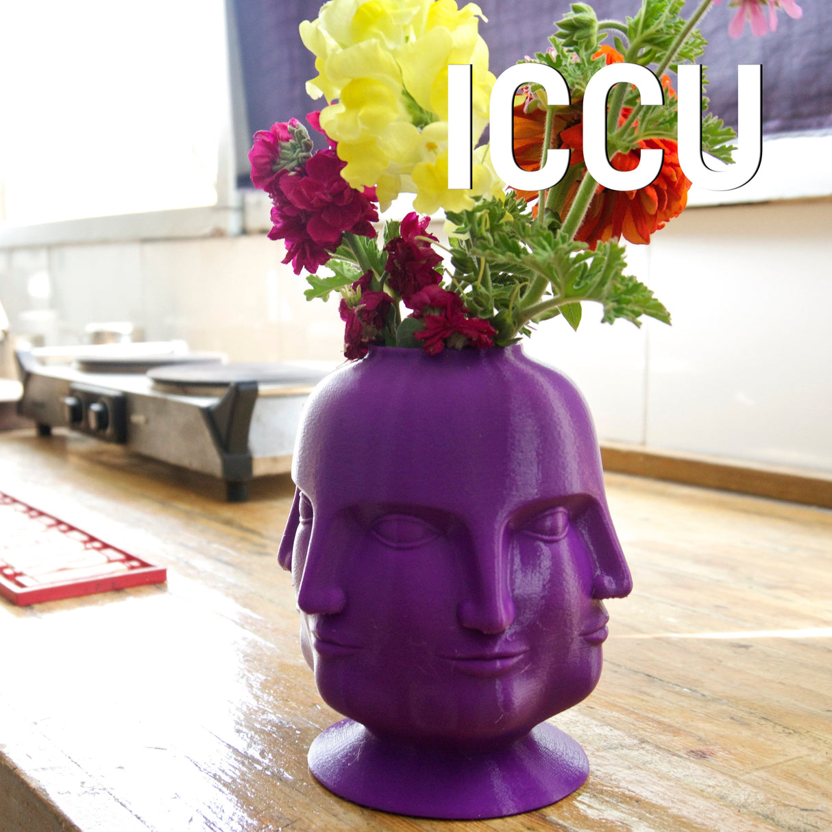 3D Shook ICCU Face Vase, Sculptural Head Vase, Modern Artistic Home Decor - LV3DPrinting