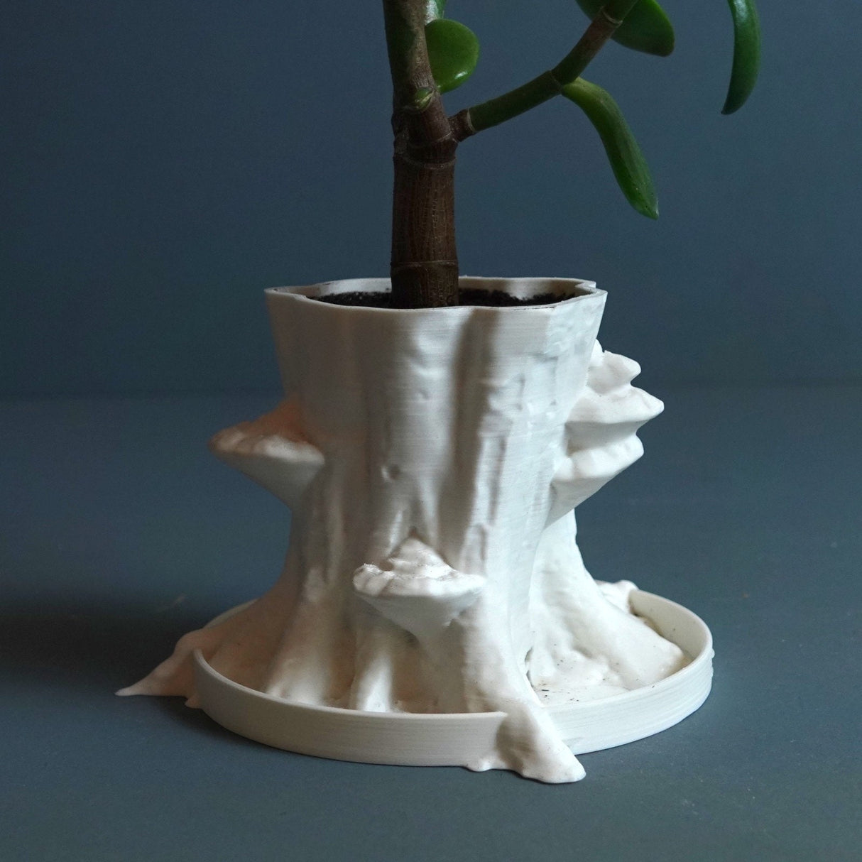 Gazzaladra Sylvatica Tree Planter Decor for Dinner Table, Party, Living Room, Bedroom - LV3DPrinting
