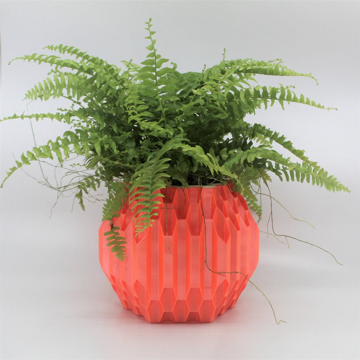 3DPPA Hegaxon Overload Self-Watering Planter /Planter Decor for Dinner Table, Party, Living Room, Bedroom - LV3DPrinting