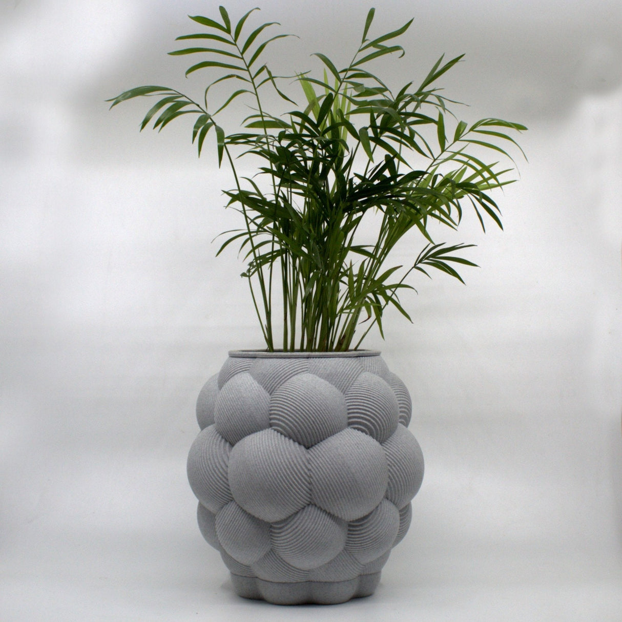 3DPPA Apo Mali Planter Decor for Dinner Table, Party, Living Room, Bedroom - LV3DPrinting