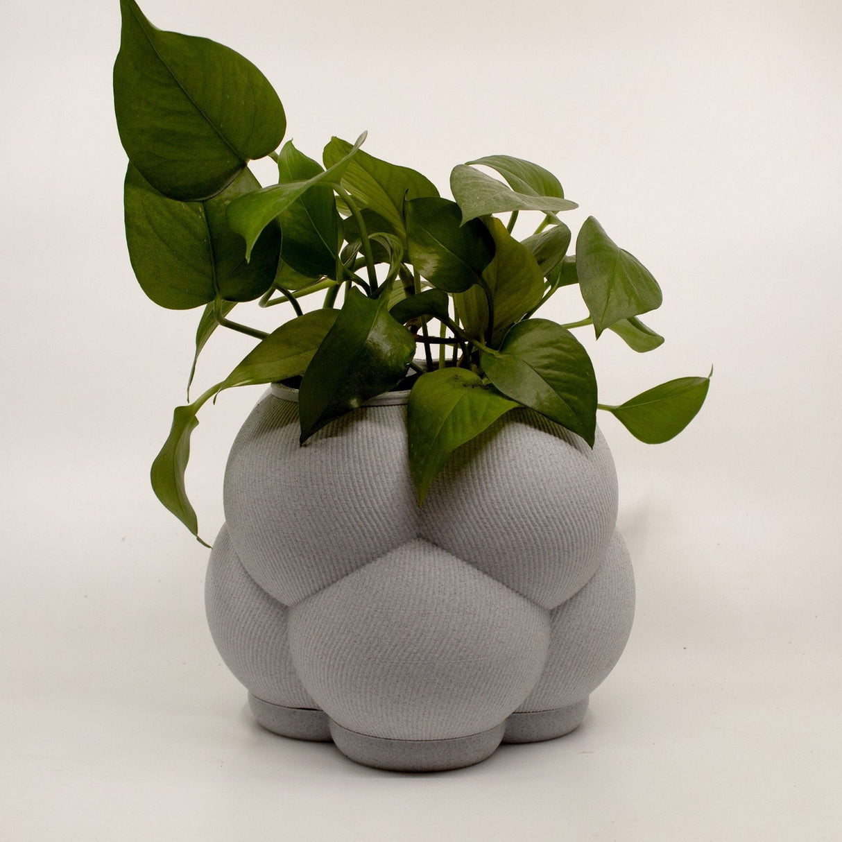 3DPPA Bubble Cloud Planter Decor for Dinner Table, Party, Living Room, Bedroom - LV3DPrinting