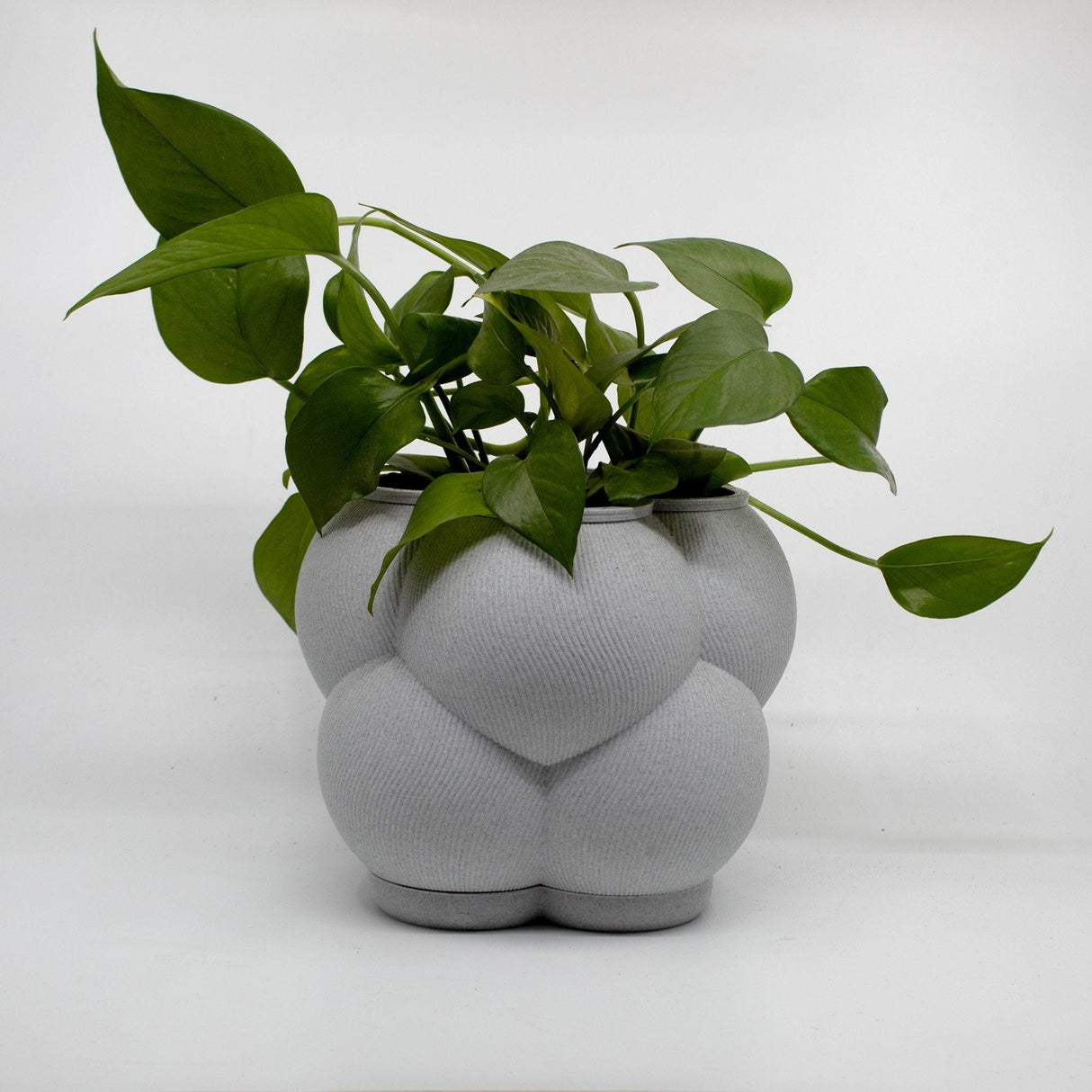 3DPPA Bubble Cloud Planter Decor for Dinner Table, Party, Living Room, Bedroom - LV3DPrinting