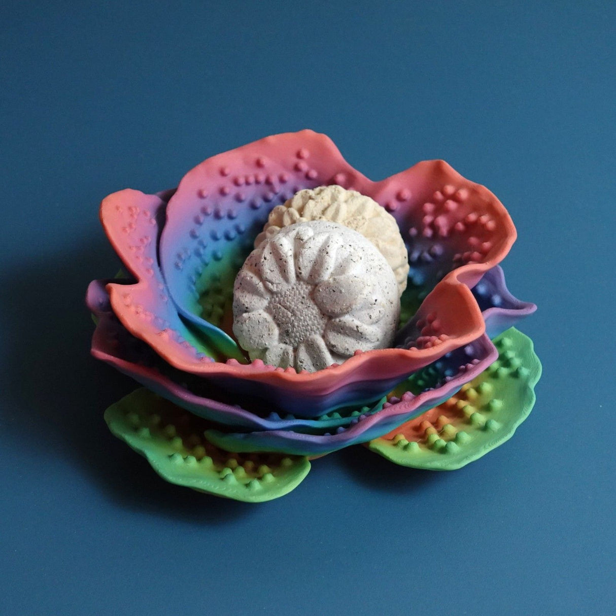 Gazzaladra Kitchen & Dining Reniformis Coral Bowl Decor | Tableware | Decorative Bowl - LV3DPrinting