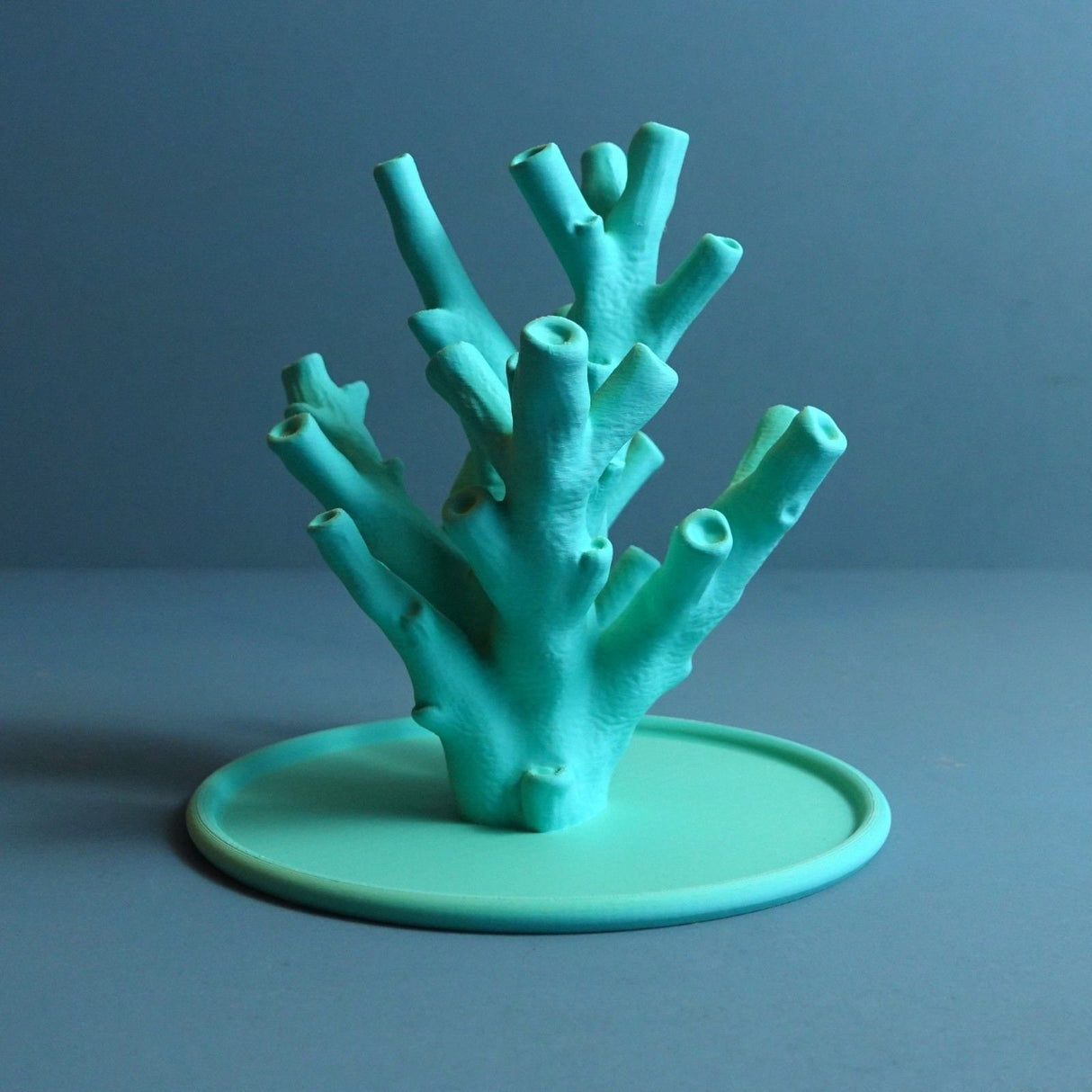 Gazzaladra XX Echinata Coral Jewelry Holder  | Jewelry Organizer | Necklace Storage | Gift For Her - LV3DPrinting