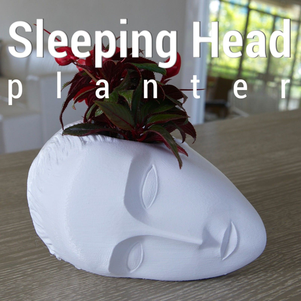 3D Shook Sleeping Muse Planter for Weddings, Dinner Table, Party, Living Room, Bedroom | All Sizes & Colors!!! - LV3DPrinting
