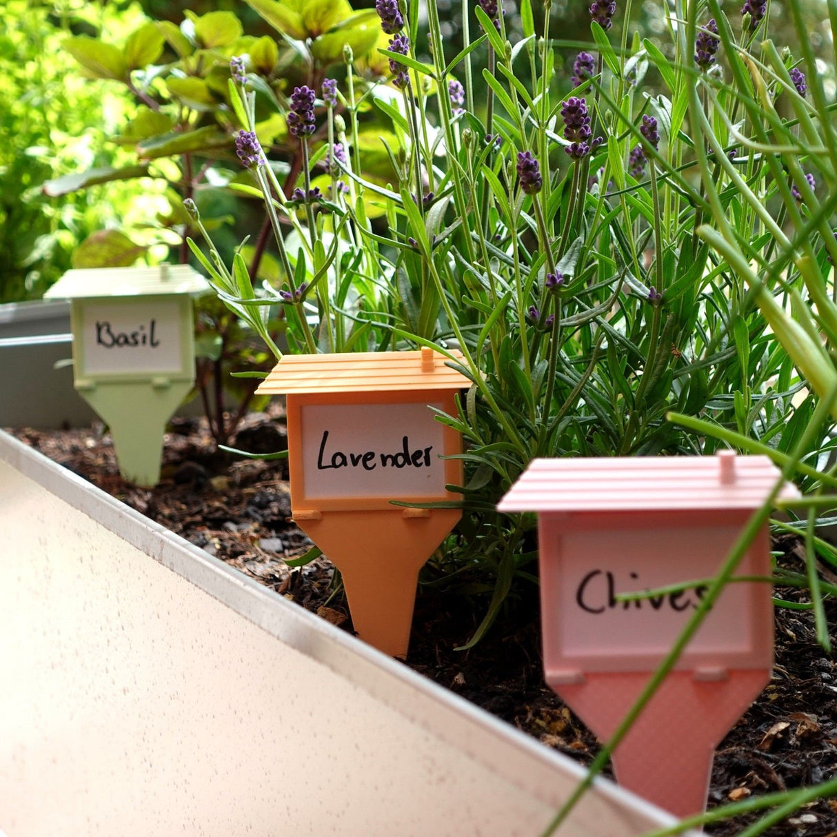 Gazzaladra Plant label V2 - Herb Tag | Garden Label - LV3DPrinting