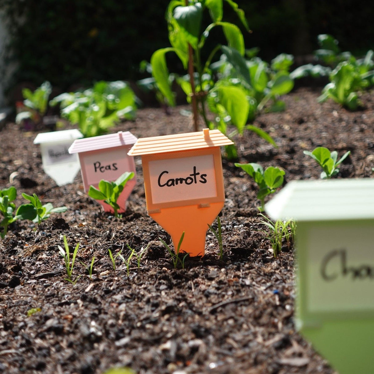 Gazzaladra Plant label V2 - Herb Tag | Garden Label - LV3DPrinting