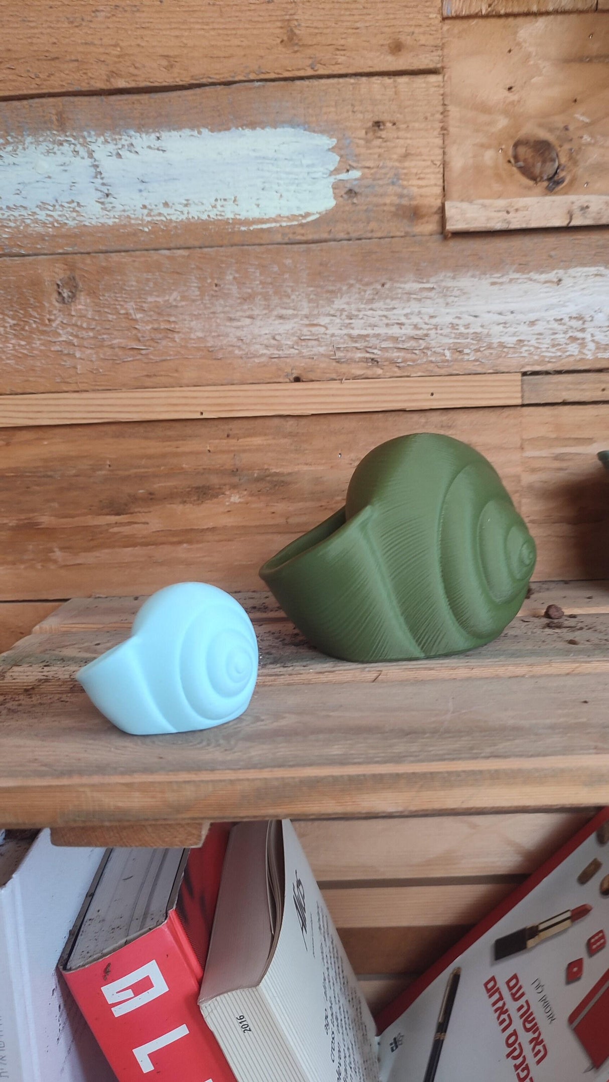 3D Shook Natica Vase – Nautical Sculptural Decor for Weddings, Dining Table, Living Room and Bedroom | Seashell Art Vase - LV3DPrinting