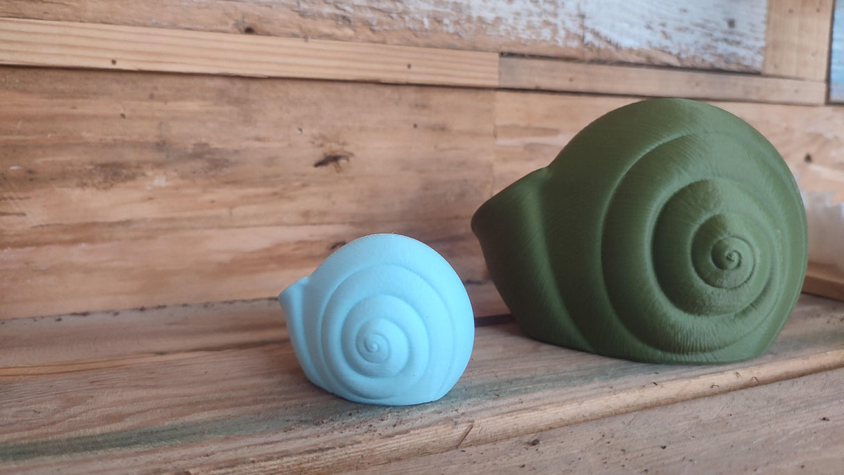 3D Shook Natica Vase – Nautical Sculptural Decor for Weddings, Dining Table, Living Room and Bedroom | Seashell Art Vase - LV3DPrinting