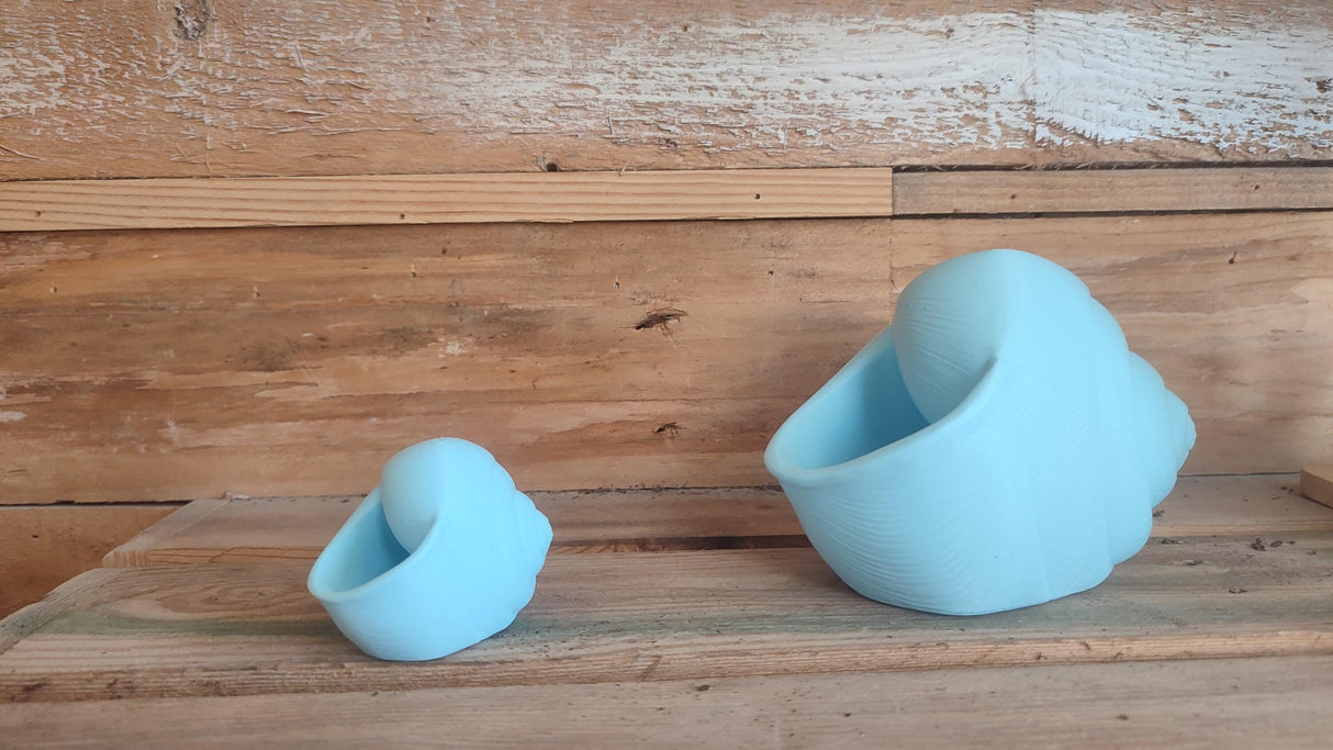 3D Shook Natica Vase – Nautical Sculptural Decor for Weddings, Dining Table, Living Room and Bedroom | Seashell Art Vase - LV3DPrinting