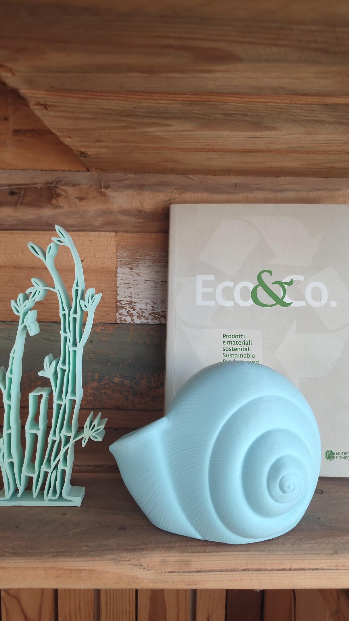 3D Shook Natica Vase – Nautical Sculptural Decor for Weddings, Dining Table, Living Room and Bedroom | Seashell Art Vase - LV3DPrinting