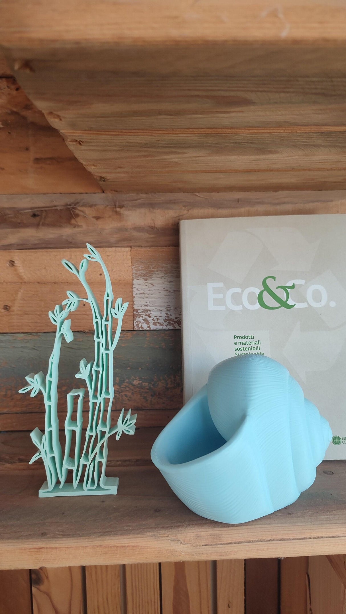 3D Shook Natica Vase – Nautical Sculptural Decor for Weddings, Dining Table, Living Room and Bedroom | Seashell Art Vase - LV3DPrinting