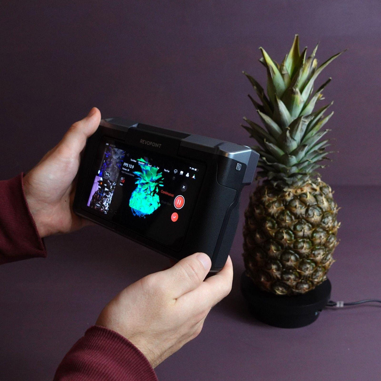 Gazzaladra Sliced Ananans | Jewlery Box | Desk Organizer | Custom! | Mutliple Colors! | Personalized! - LV3DPrinting