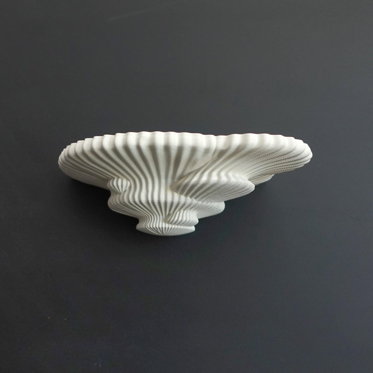 Gazzaladra Unique Wall shelf Interior Decor “Tinder Fungus” for Party, Living Room, Bedroom - LV3DPrinting