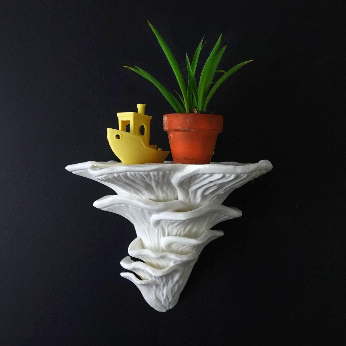 Gazzaladra Unique Wall shelf Interior Decor “Djamor Fungus” for Party, Living Room, Bedroom - LV3DPrinting