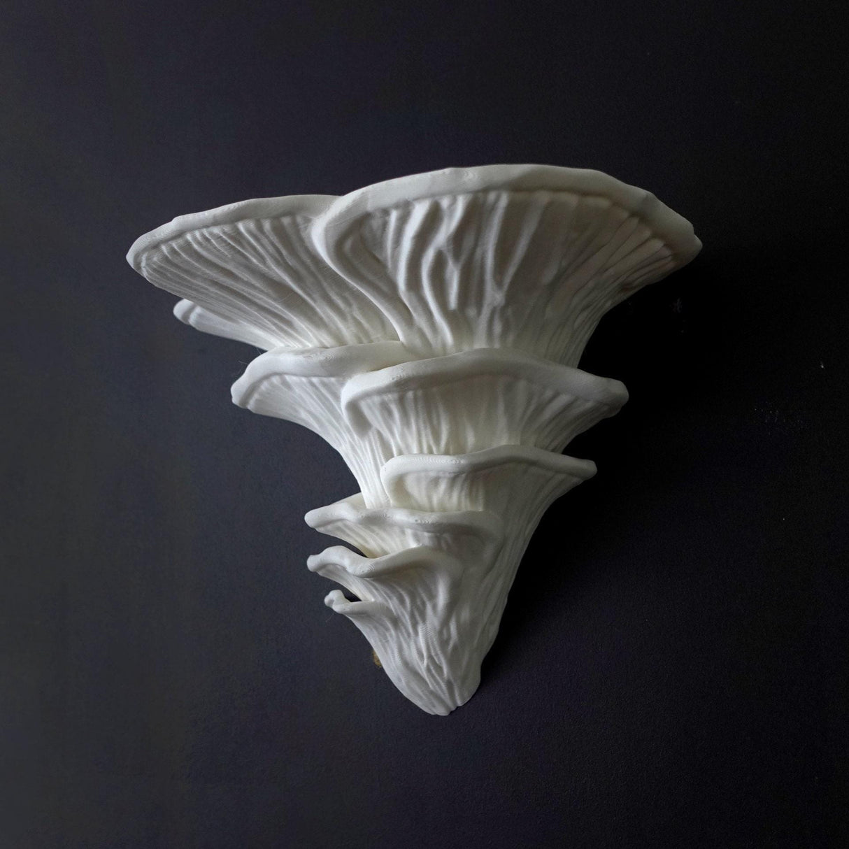 Gazzaladra Unique Wall shelf Interior Decor “Djamor Fungus” for Party, Living Room, Bedroom - LV3DPrinting