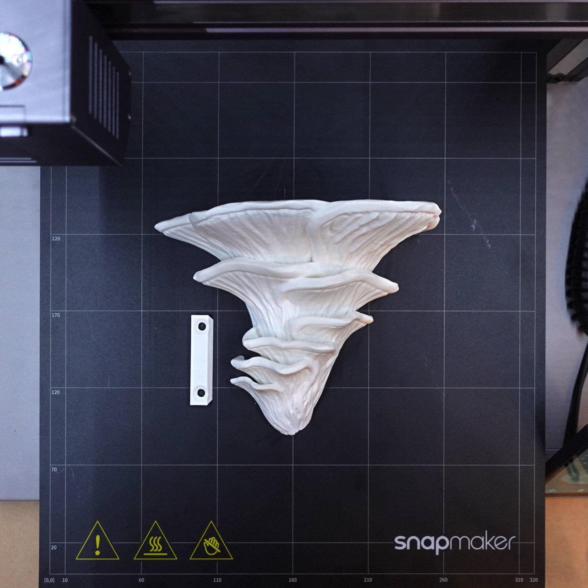 Gazzaladra Unique Wall shelf Interior Decor “Djamor Fungus” for Party, Living Room, Bedroom - LV3DPrinting