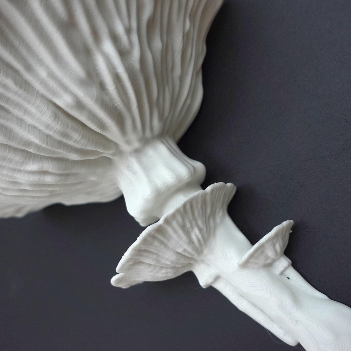 Gazzaladra Unique Wall shelf Interior Decor “Amanita Fungus” for Party, Living Room, Bedroom - LV3DPrinting