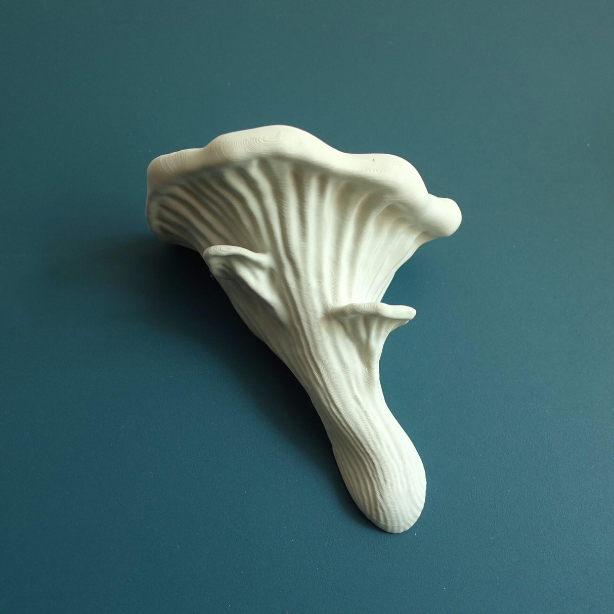 Gazzaladra Unique Wall shelf Interior Decor “Oyster Fungus” for Party, Living Room, Bedroom - LV3DPrinting