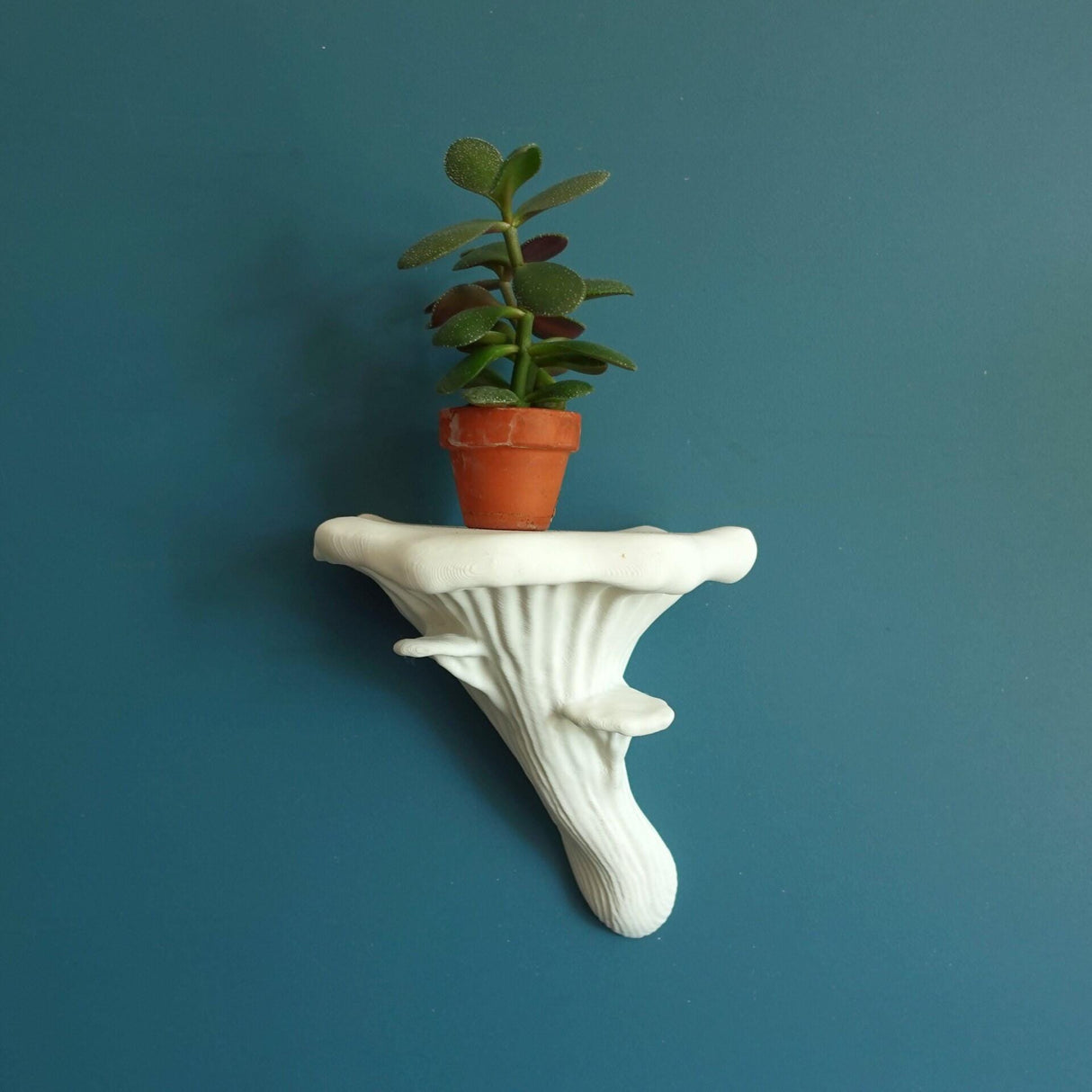 Gazzaladra Unique Wall shelf Interior Decor “Oyster Fungus” for Party, Living Room, Bedroom - LV3DPrinting