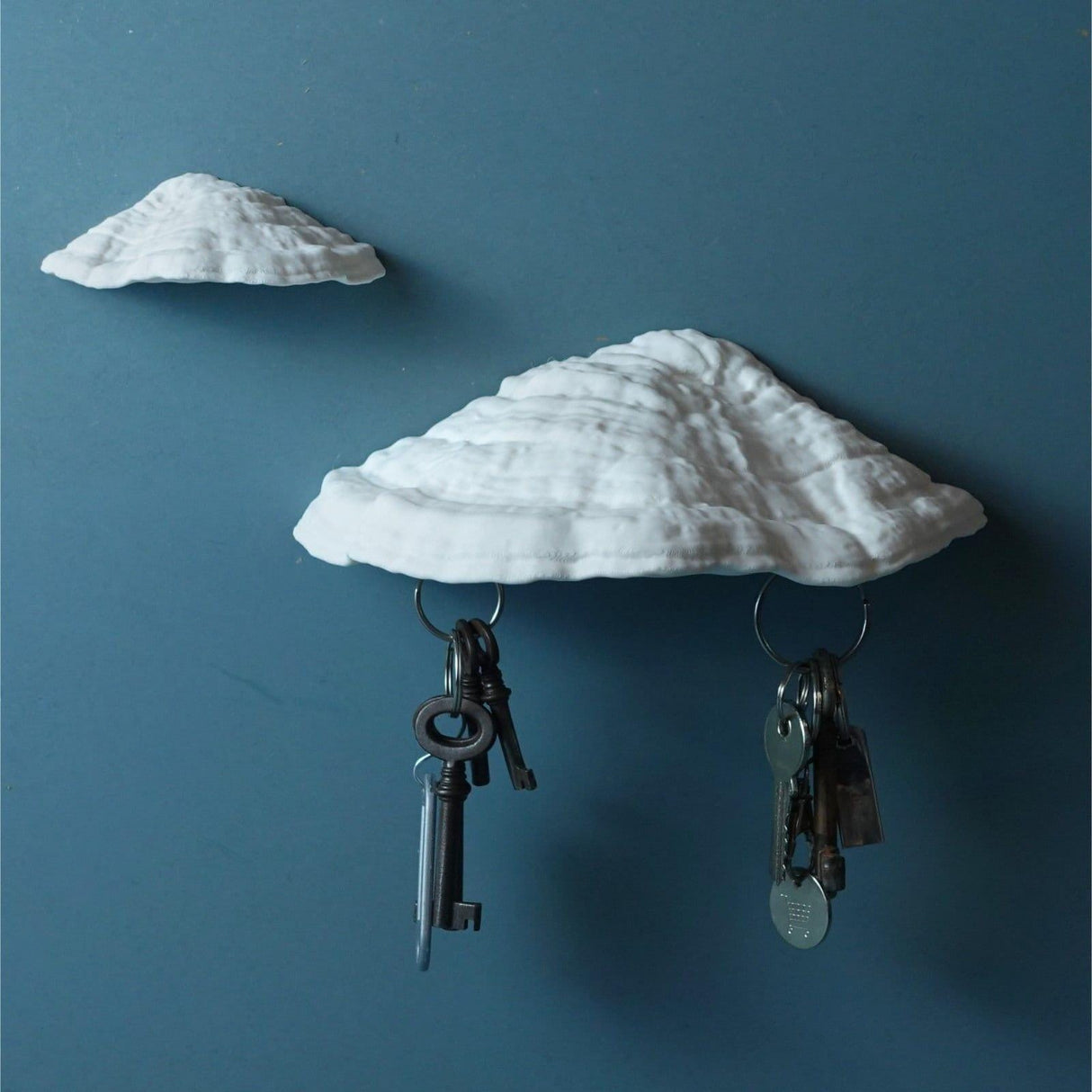 Gazzaladra Carnosum Fungus Magnetic Key Holder for Party, Living Room, Bedroom - LV3DPrinting