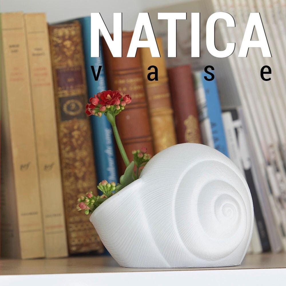 3D Shook Natica Vase – Nautical Sculptural Decor for Weddings, Dining Table, Living Room and Bedroom | Seashell Art Vase - LV3DPrinting
