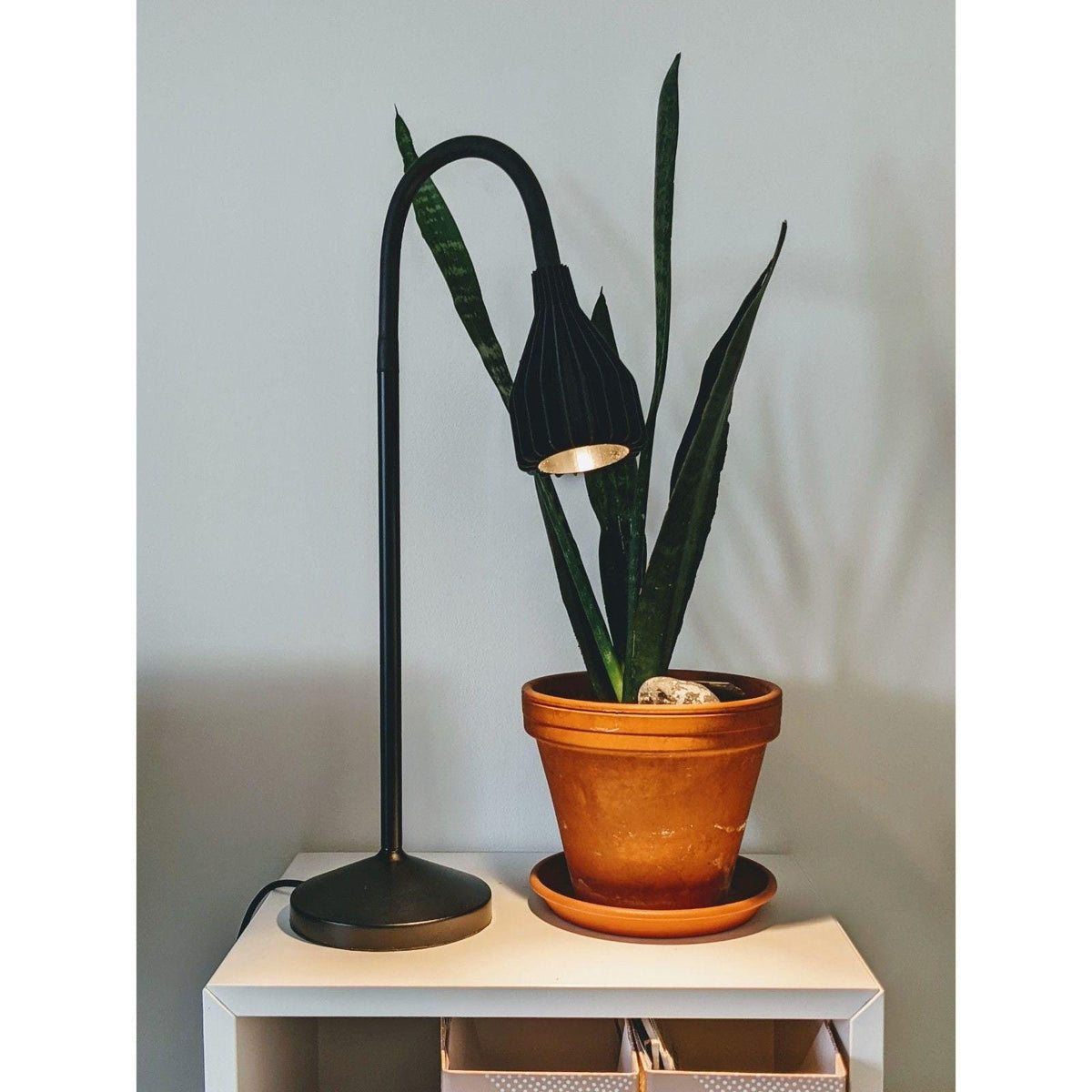Martin Zampach Ribone Straight Mini Desk Lamp | Home Decor | Gift Ideas | Multiple Colors | Customizable - LV3DPrinting