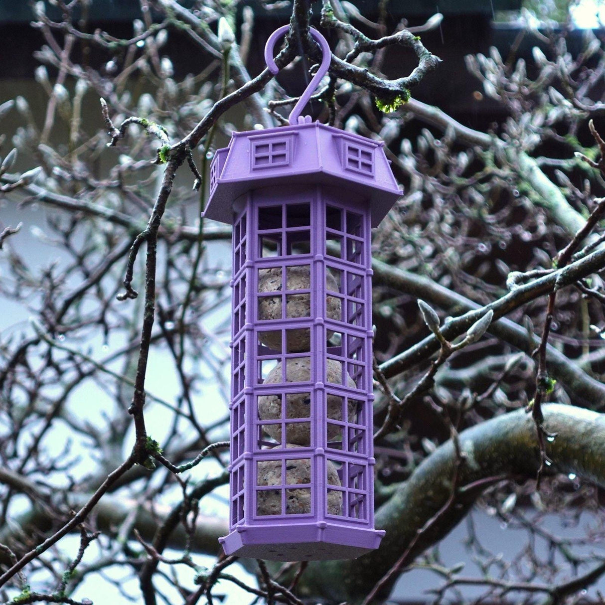 Gazzaladra Suet Bird Feeder | Bird Watchers | Eco Friendly | Garden Ornament - LV3DPrinting