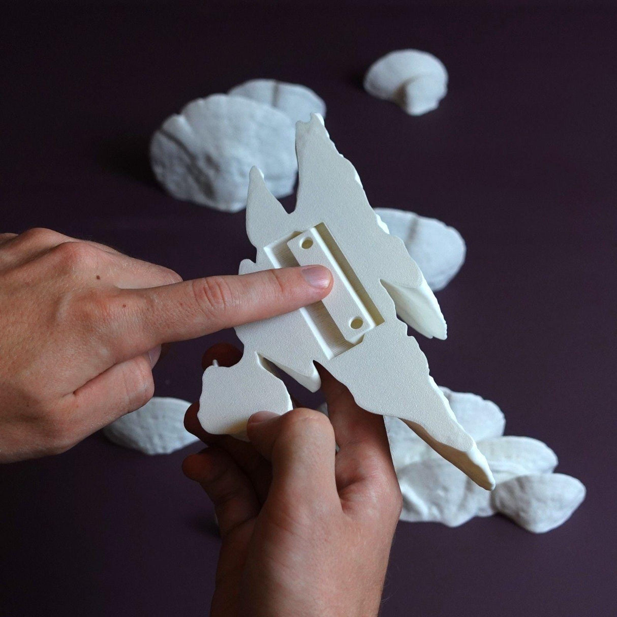 Gazzaladra Mushroom Shelf Trametes Pubescens - LV3DPrinting