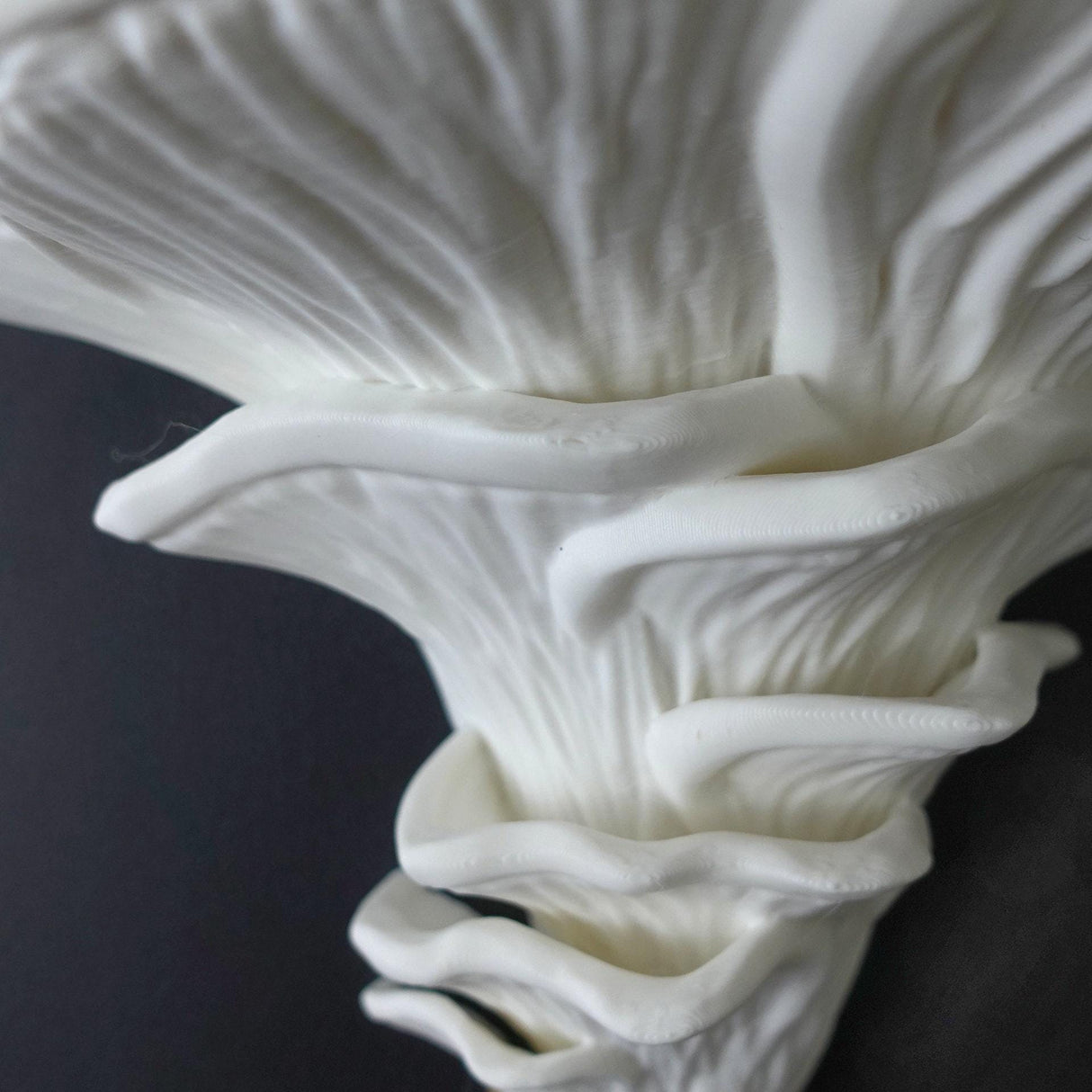 Gazzaladra Unique Wall shelf Interior Decor “Djamor Fungus” for Party, Living Room, Bedroom - LV3DPrinting