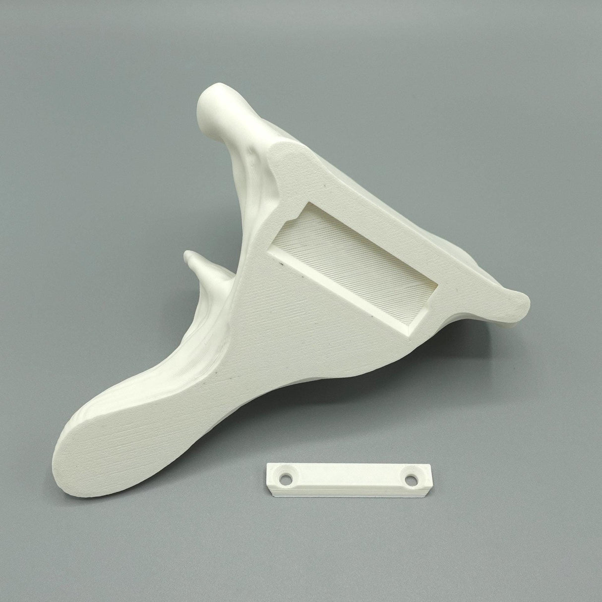 Gazzaladra Unique Wall shelf Interior Decor “Oyster Fungus” for Party, Living Room, Bedroom - LV3DPrinting