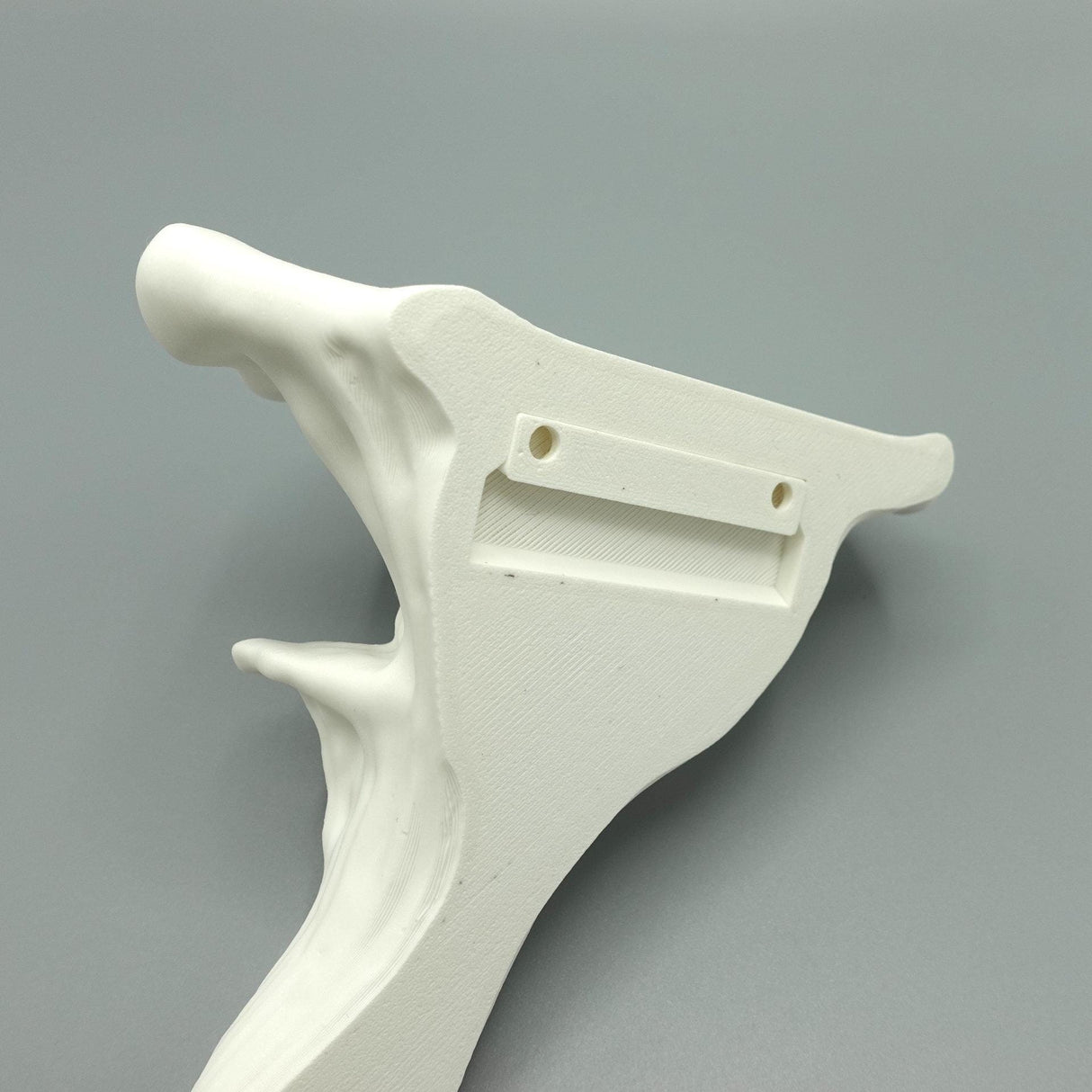 Gazzaladra Unique Wall shelf Interior Decor “Oyster Fungus” for Party, Living Room, Bedroom - LV3DPrinting