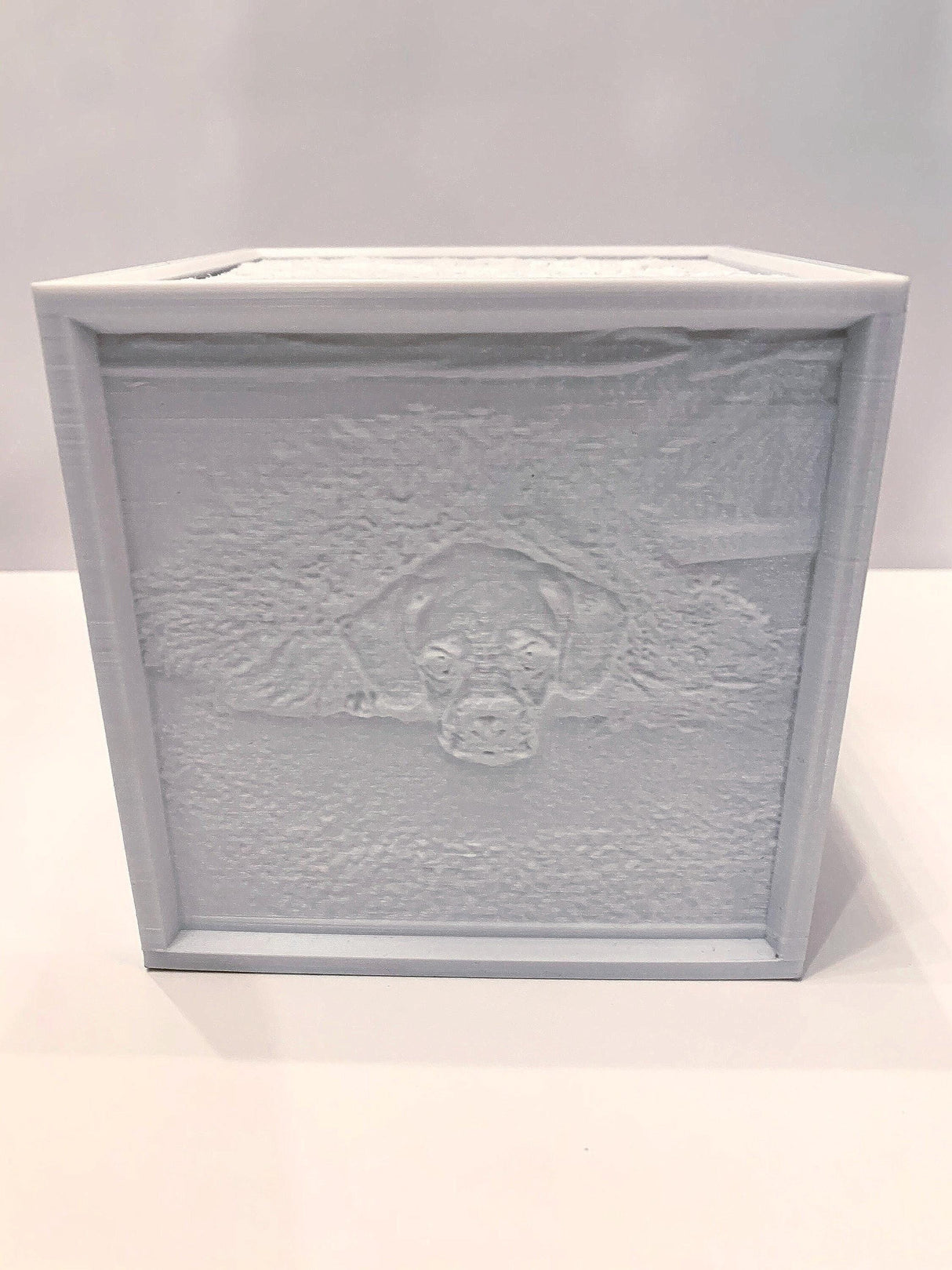 Custom Lithophane Light Box | Personalized Gifts | Keepsakes - LV3DPrinting